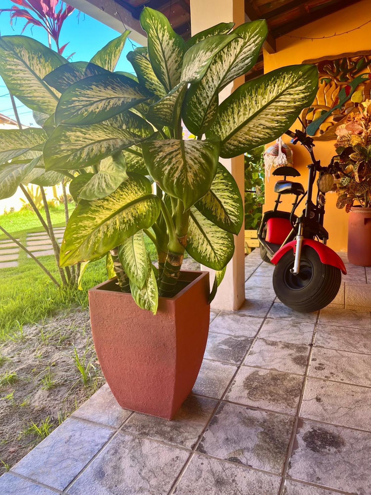 Pousada Paradise Alcobaça 外观 照片